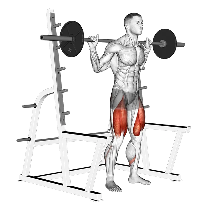 Barbell Low Bar Squat with Rack exercise animation (Male)