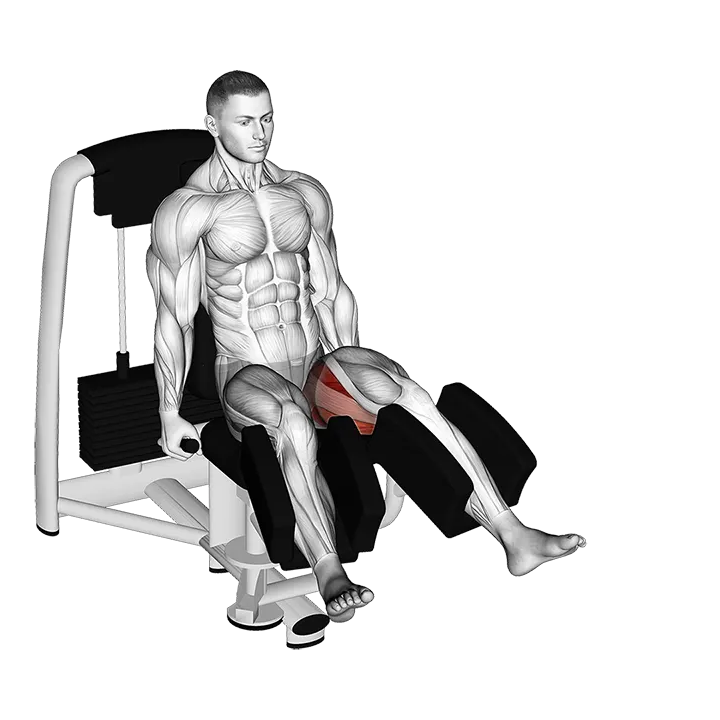 Lever Seated Hip Abduction (VERSION 2) exercise animation (Male)