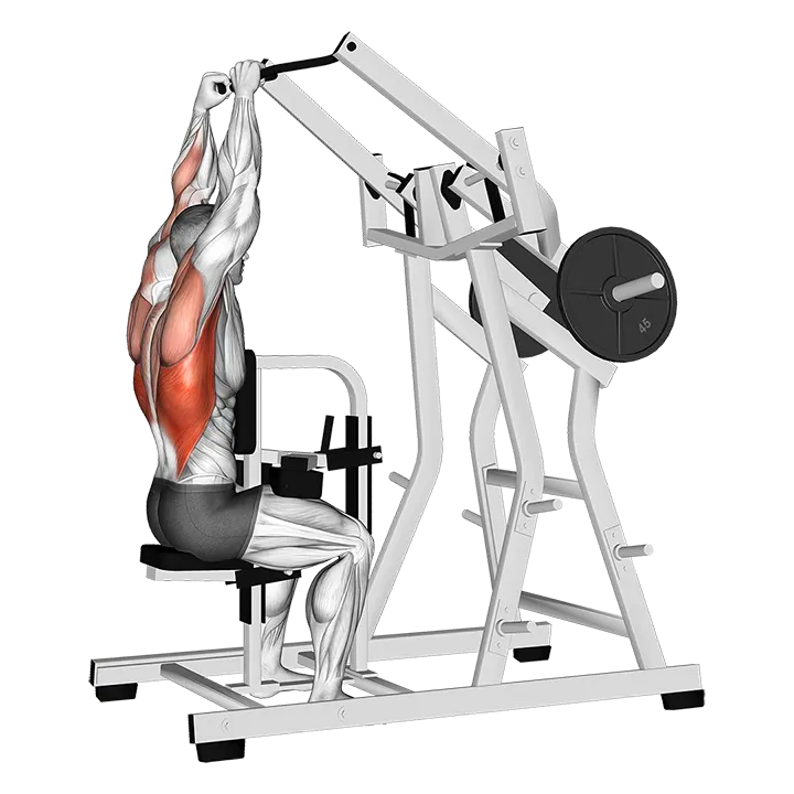 Lever Lateral Pulldown (plate loaded) exercise animation (Male)
