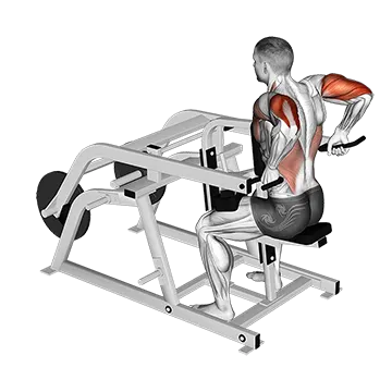 Lever Triceps Dip (plate loaded)