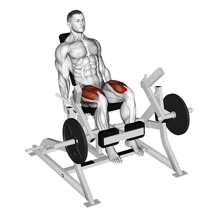 Lever Leg Extension (plate loaded) exercise animation (Male)
