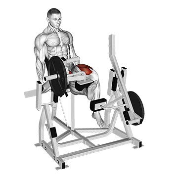 Lever Alternate Leg Extension (plate loaded)