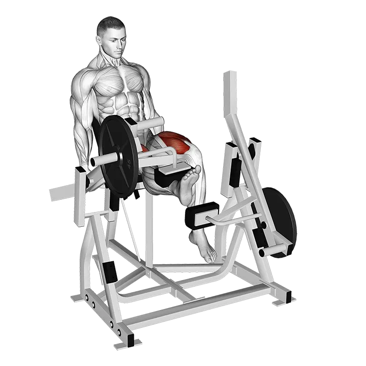 Lever Alternate Leg Extension (plate loaded) exercise animation (Male)
