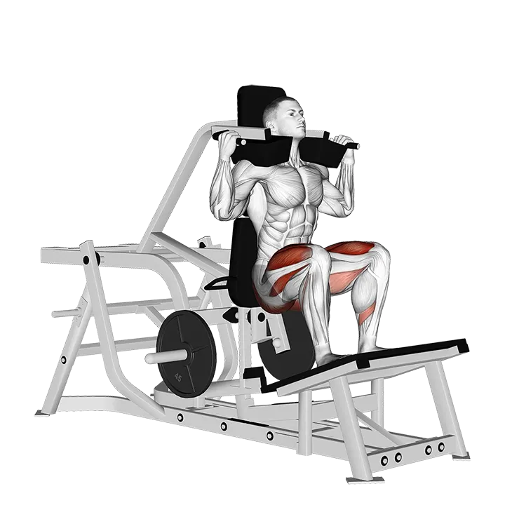 Lever Squat (plate loaded) exercise animation (Male)