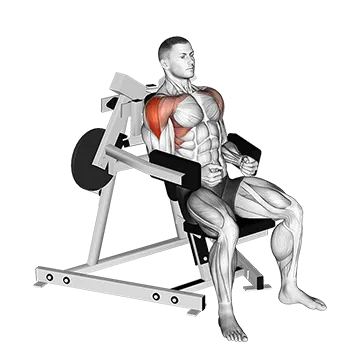 Lever Lateral Raise (plate loaded)