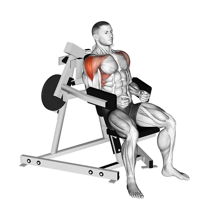 Lever Lateral Raise (plate loaded) exercise animation (Male)