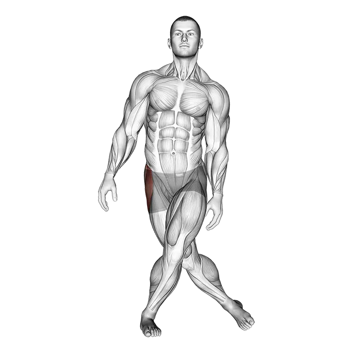 Standing Leg Cross Abductor Stretch exercise animation (Male)