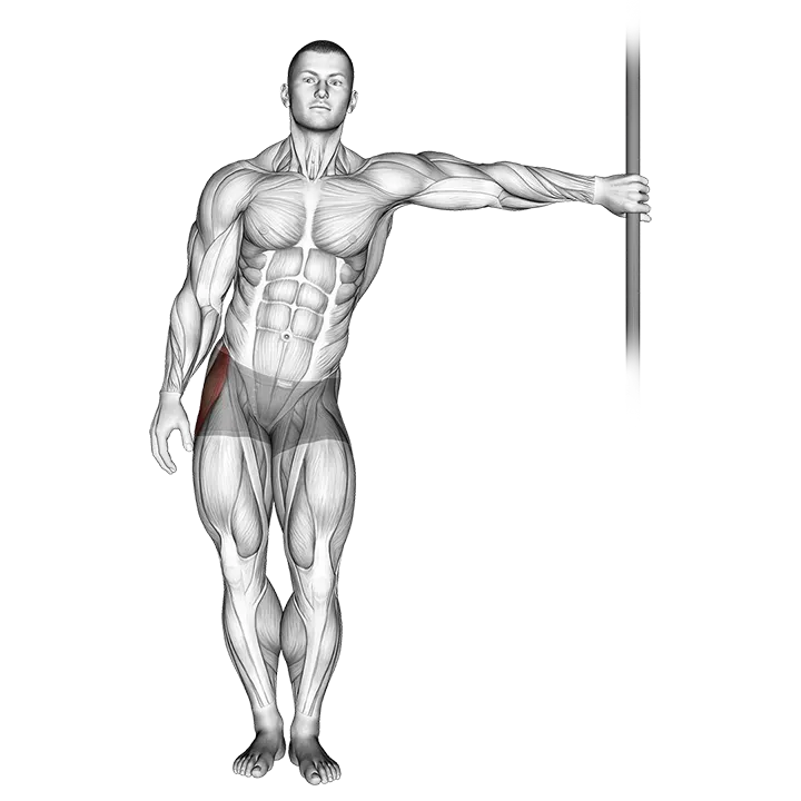 Leaning Abductor Stretch exercise animation (Male)