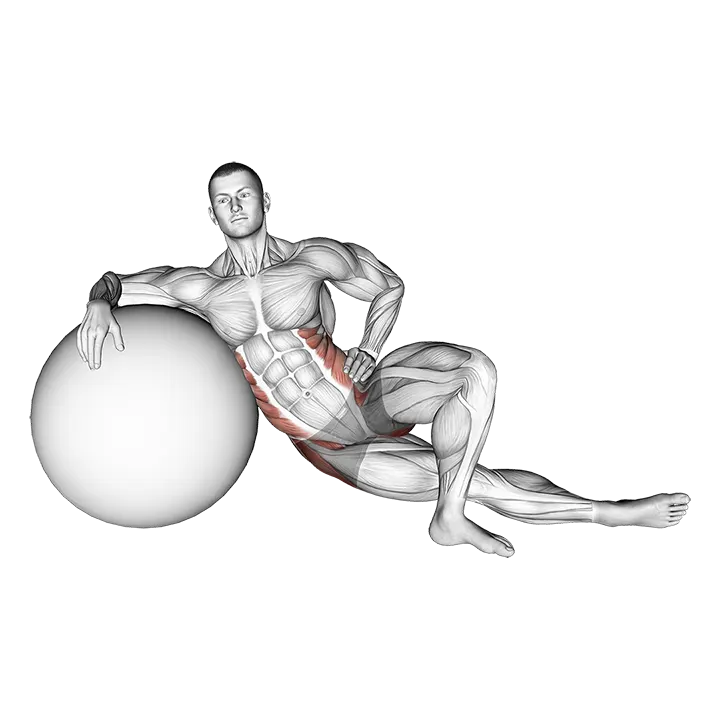 Exercise Ball Lying Abductor Stretch exercise animation (Male)