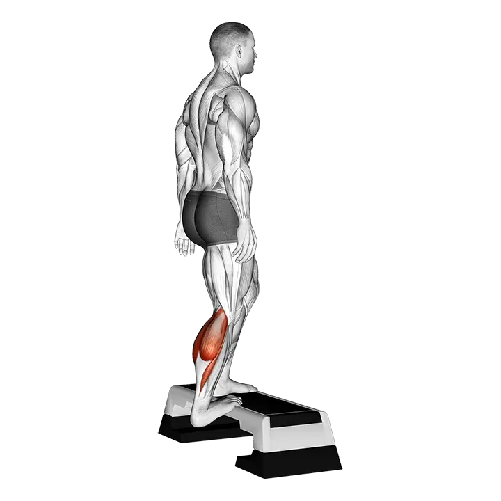 Single Heel Drop Achilles Stretch exercise animation (Male)