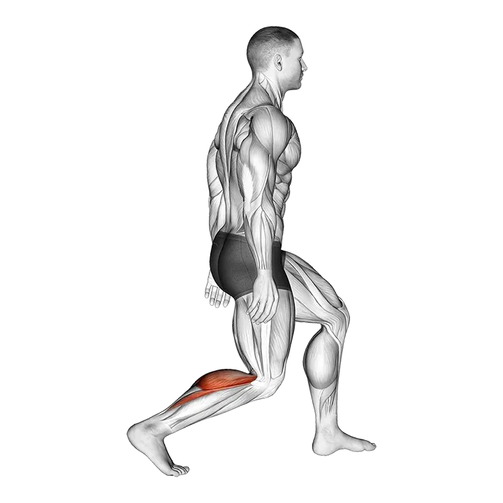 Standing Achilles Stretch exercise animation (Male)
