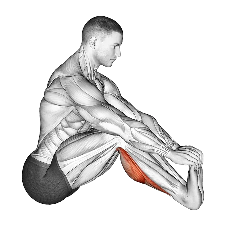 Sitting Toe Pull Achilles Stretch exercise animation (Male)