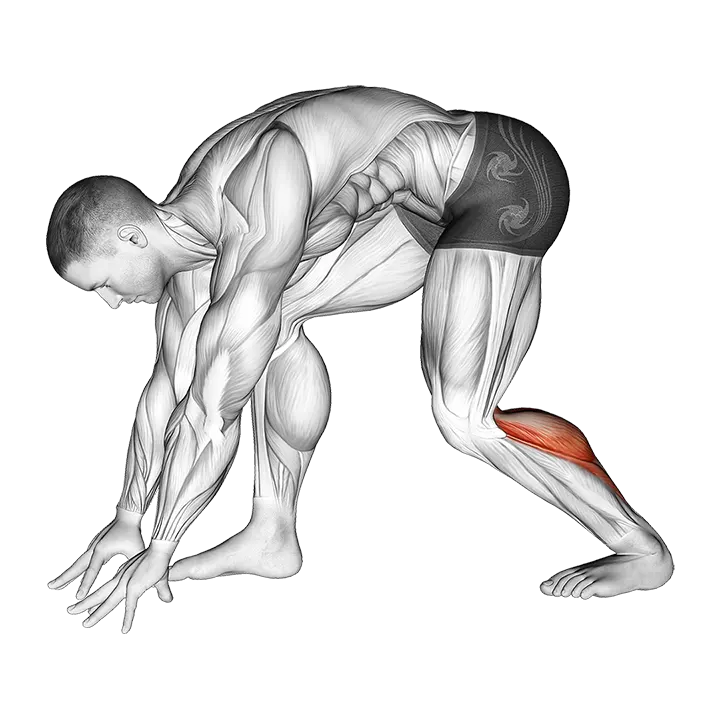 Crouching Heel Back Achilles Stretch exercise animation (Male)
