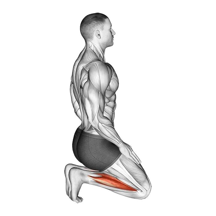Toe Squat Stretch exercise animation (Male)