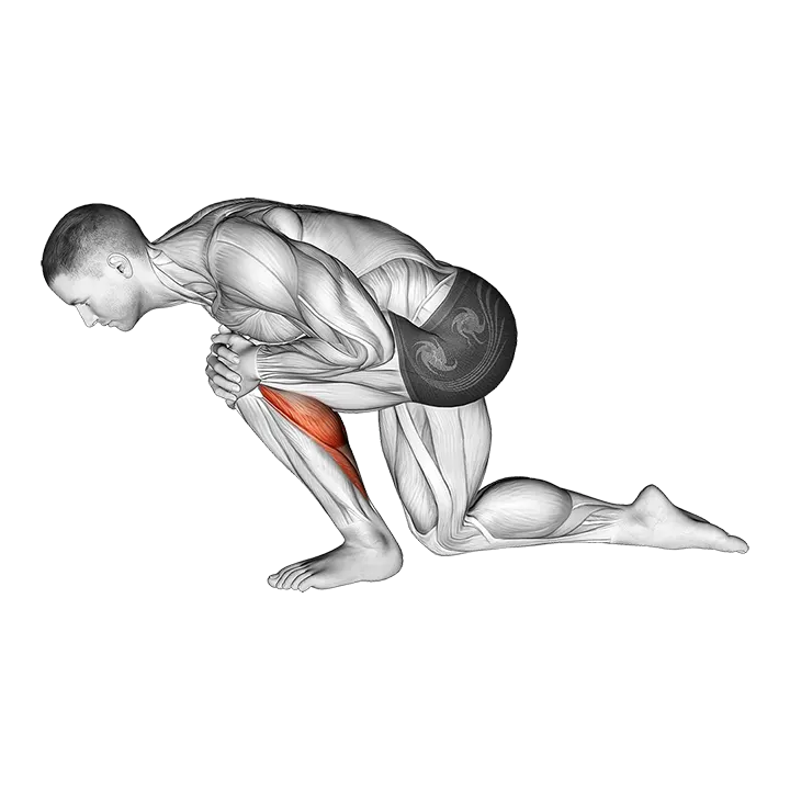 Kneeling Heel Down Achilles Stretch exercise animation (Male)