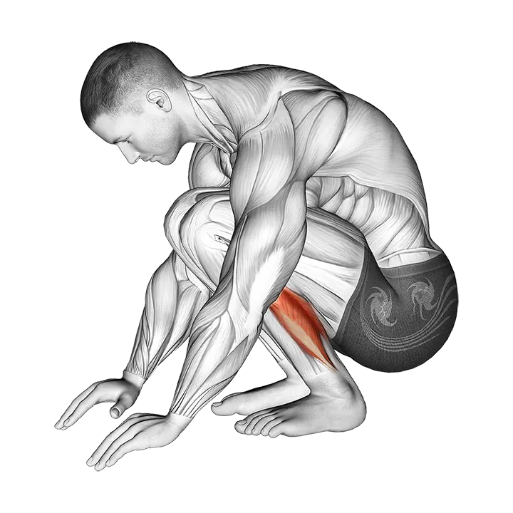 Squatting Achilles Stretch exercise animation (Male)