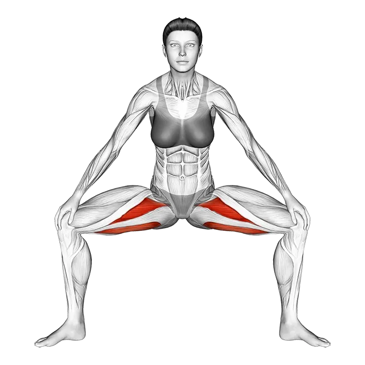 Standing Wide Knees Adductor Stretch exercise animation (Female)