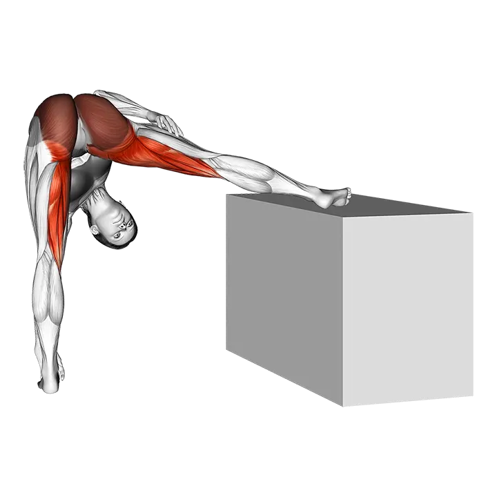 Standing Raised Leg Hip Adductor Stretch exercise animation (Female)