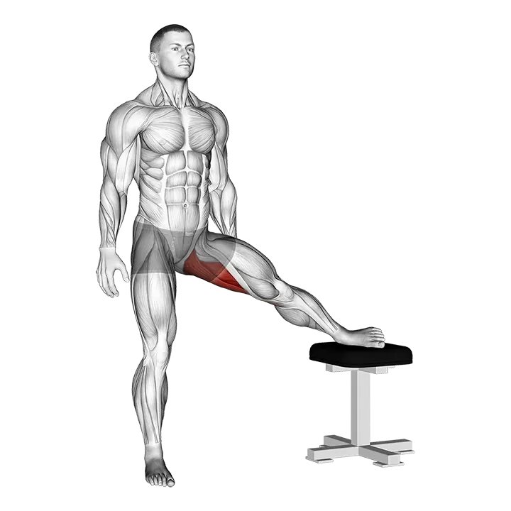 Standing Leg Up Adductor Stretch exercise animation (Male)