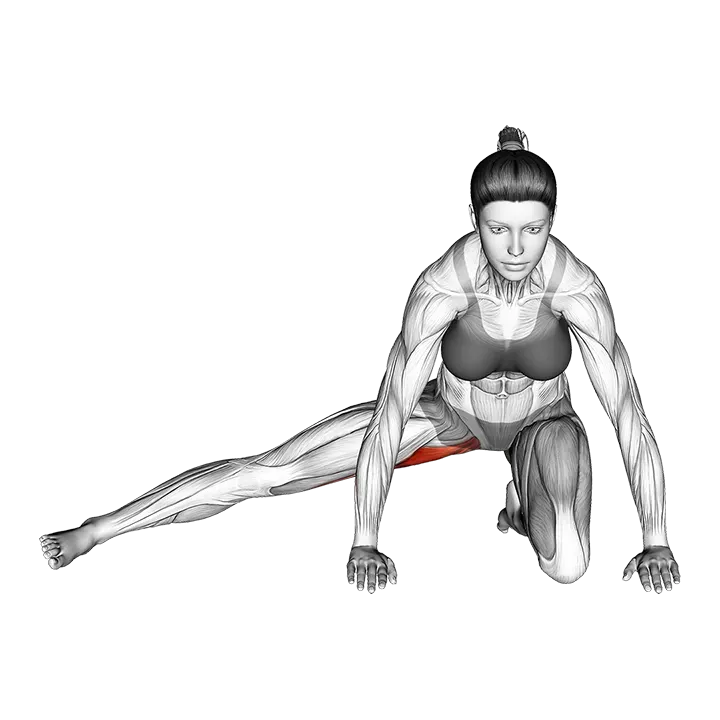 Kneeling Leg Out Adductor Stretch exercise animation (Female)