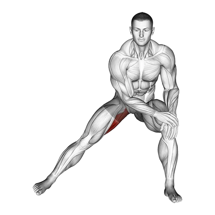 Side Lunge Adductor Stretch exercise animation (Male)