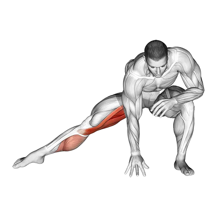 Standing Bent Knee Hip Adductor Stretch exercise animation (Male)