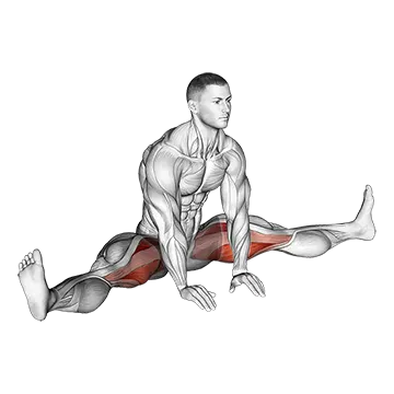 Sitting Wide Leg Adductor Stretch