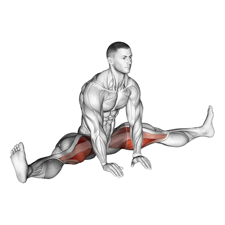 Sitting Wide Leg Adductor Stretch exercise animation (Männlich)