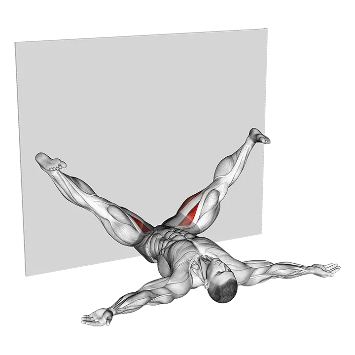Lying Leaning Against The Wall Stretch exercise animation (Male)