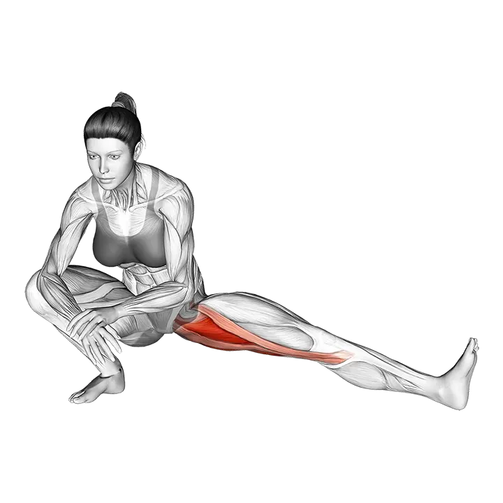 Abduction Of One Leg Flexion Stretch exercise animation (Female)