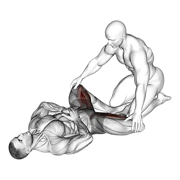 Assisted Lying Adductors Stretch