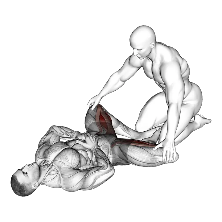 Assisted Lying Adductors Stretch exercise animation (Male)