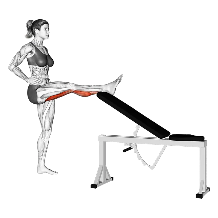 Standing Leg Up Hamstring Stretch exercise animation (Female)