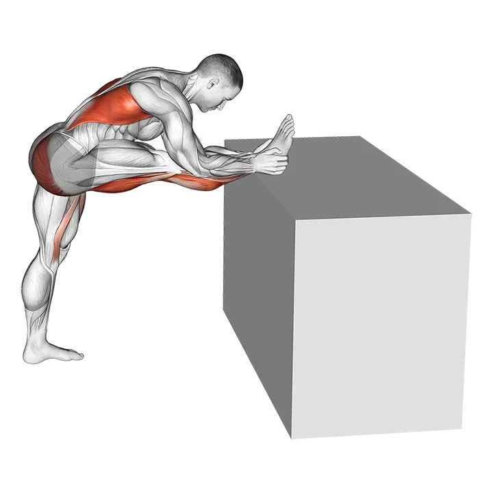 Raised Leg Knee Flexor Stretch exercise animation (Male)