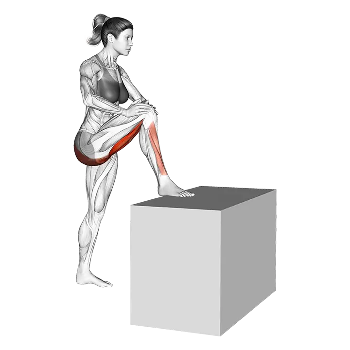Standing High Leg Bent Knee Hamstring Stretch exercise animation (Female)