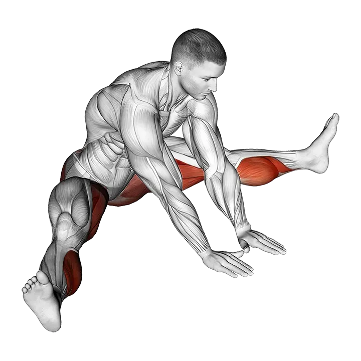 Seated Knee Flexor And Hip Adductor Stretch exercise animation (Male)