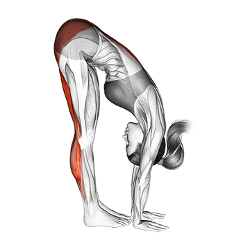 Standing Reach Down Hamstring Stretch