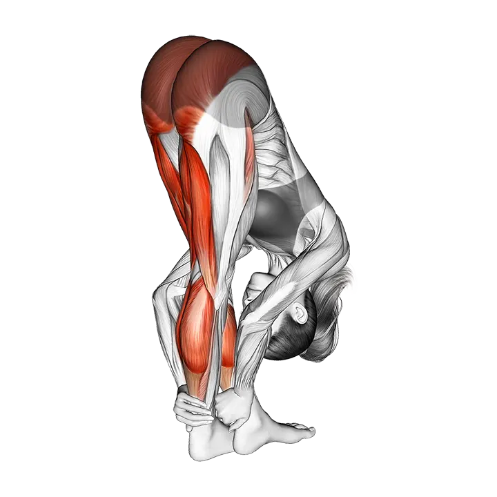 Standing Reach Down Hamstring Crossed Legs Stretch exercise animation (Female)