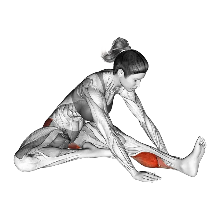 Seated Hip External Rotator And Hip Extensor Stretch exercise animation (Female)