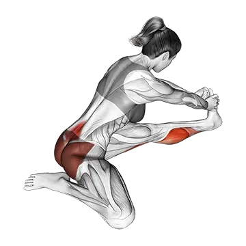 Seated Hip Stretch With Opposite Leg From Behind