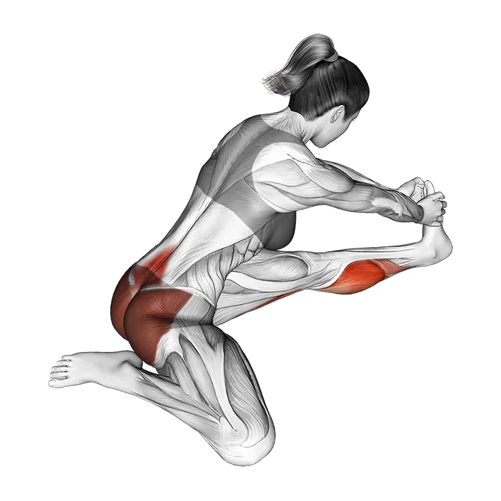 Seated Hip Stretch With Opposite Leg From Behind exercise animation (Female)