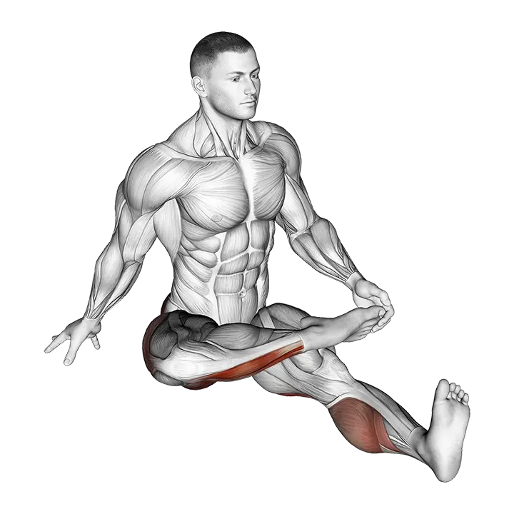 Plantar Flexion Stretch exercise animation (Male)