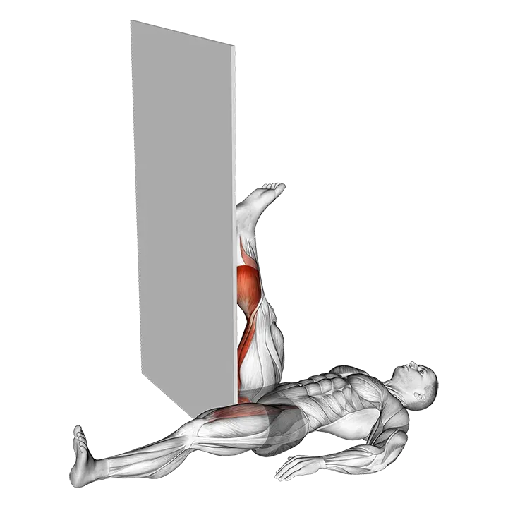 Recumbent Knee Flexor Stretch exercise animation (Male)