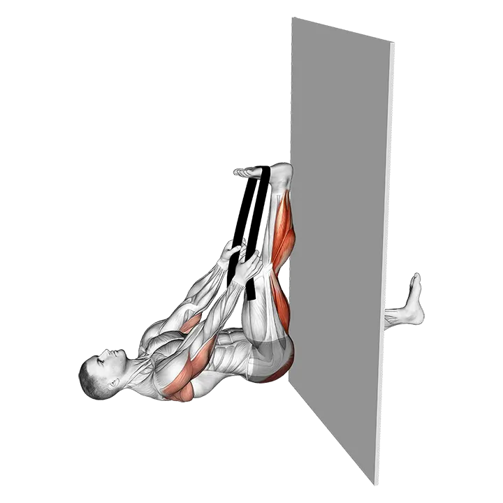 Recumbent Knee Flexor Stretch With Towel exercise animation (Male)