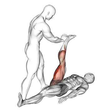 Assisted Lying Hamstring Stretch