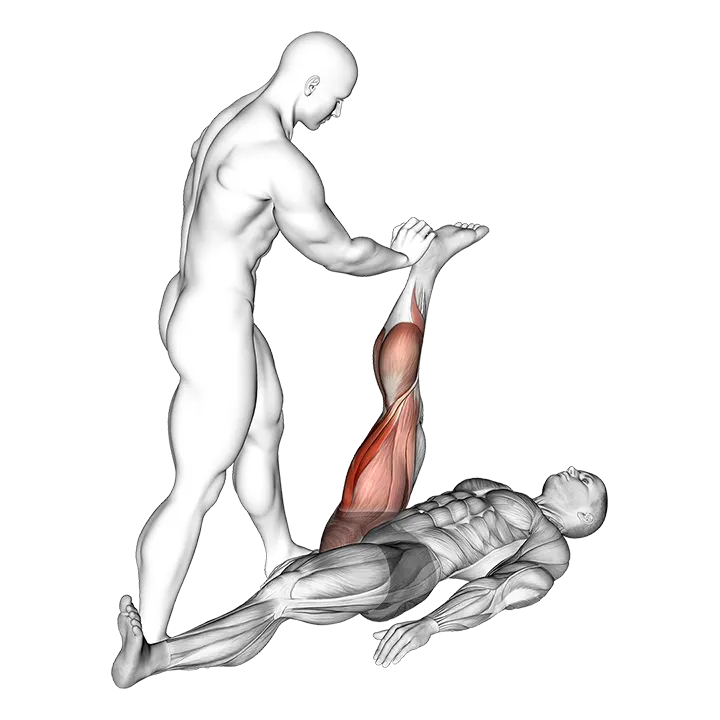 Assisted Lying Hamstring Stretch exercise animation (Male)