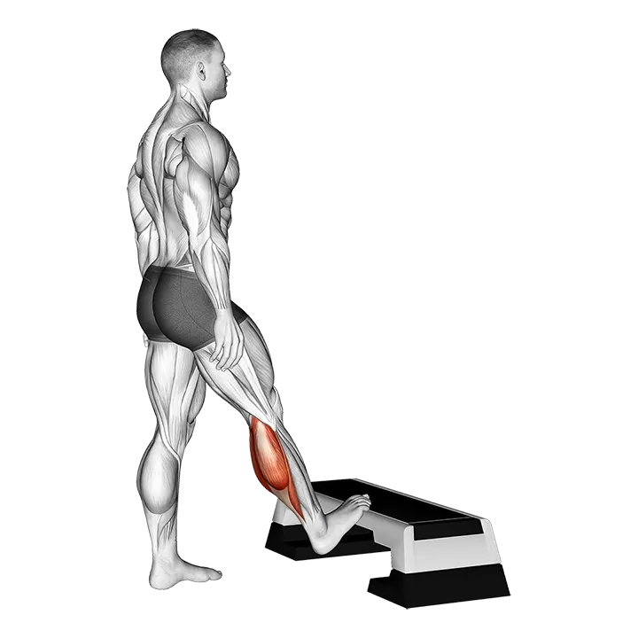 Standing Toe Up Calf Stretch exercise animation (Male)