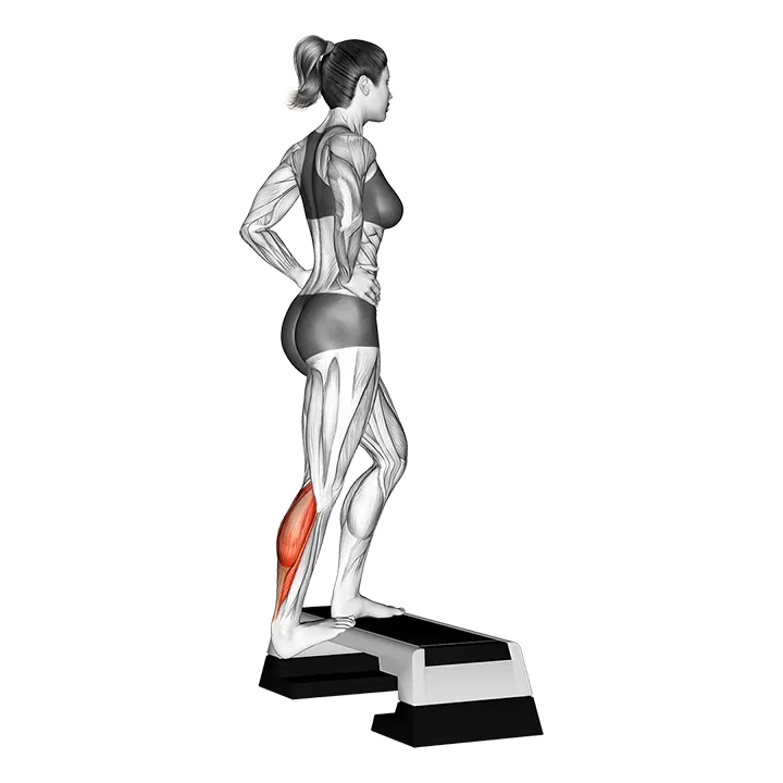 Single Heel Drop Calf Stretch exercise animation (Female)