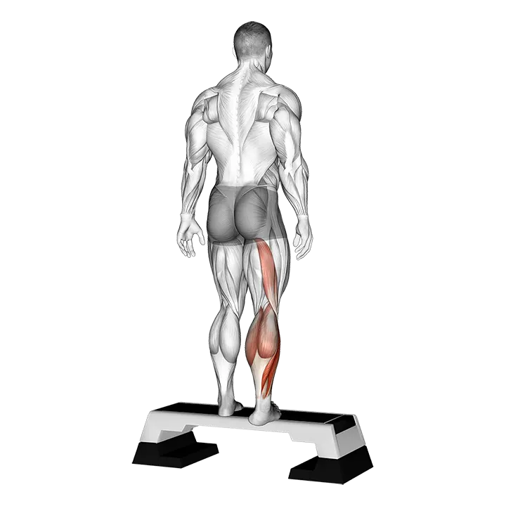 Plantar Flexor And Foot Everter Stretch exercise animation (Male)