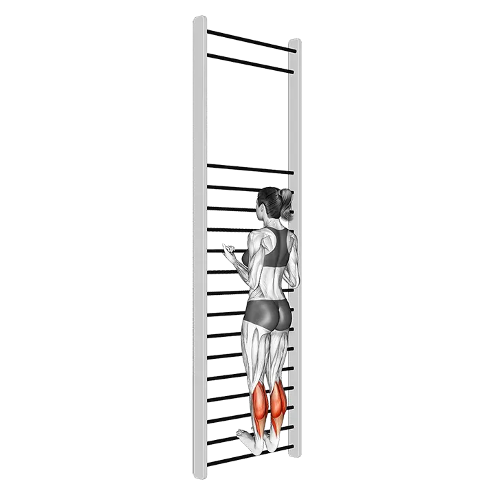 Tibial Flexion Stretch On Wall Bar exercise animation (Female)